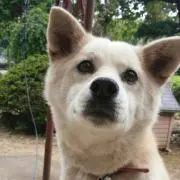 つんつん。
