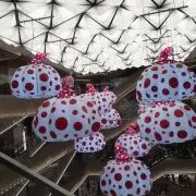 Emiiiiikの画像