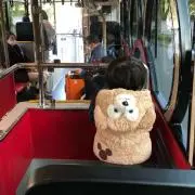 はる