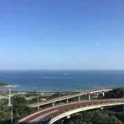 cocoa♪の画像