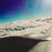 もるの画像