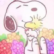 sutaの画像