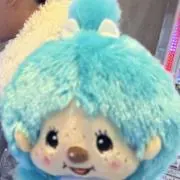 みーちゃんの画像