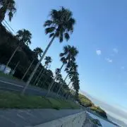 t.coast