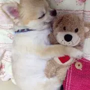 マーチン
