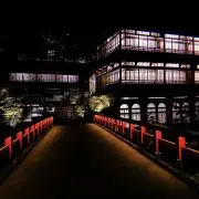 TOMO**の画像