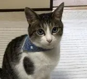 たかぴー