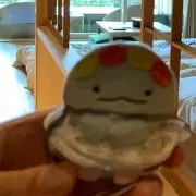 そよの画像