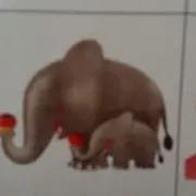 レオねね