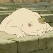 きむちの画像