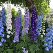 まなまな0426の画像