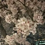 mimato1528の画像