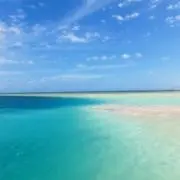 mahalo *の画像