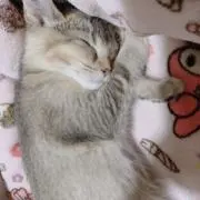 微炭酸