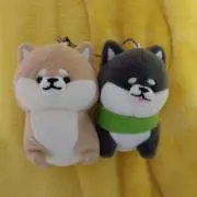 クルミ☆更にお値下げ中の画像