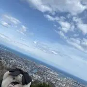 ぺろみ