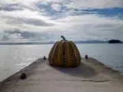 こばの画像
