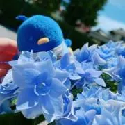 ぬんの画像