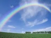 hiroの画像