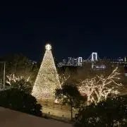 ゆいまーるの画像