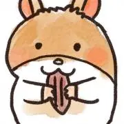 購入前コメント下さい！の画像