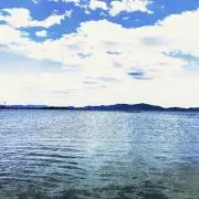 ゆうせいの画像