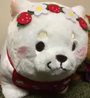 ぼの