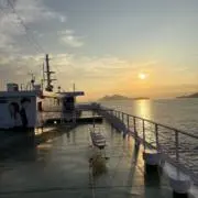 Yoshiの画像
