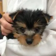 ひろママ