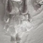 梨の画像