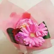 Rokka断捨離中の画像