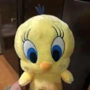 ☆こたきち☆の画像