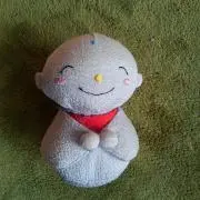 ガジュマルの画像