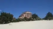 ほわいとの画像