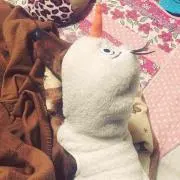 asの画像