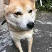 ふうや
