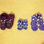 ムーンの画像