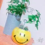 u-rara
