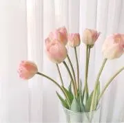 s ⋈ *。゜の画像