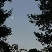 stoaの画像