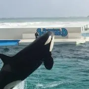 町蔵