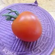 ミニトマト