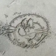 kou   即購入⭕️の画像