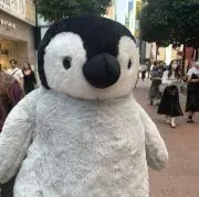 ぽち