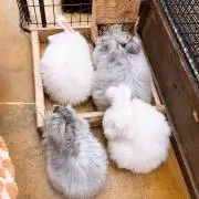 みかんプロフ必読です！！