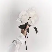 ajの画像