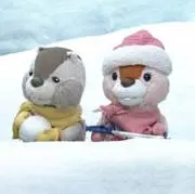 しゃか