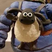 ティミーの画像