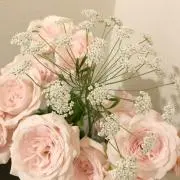 めぐちゃん ★プロフ必読願います★の画像