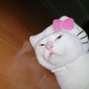 よっぴこさん